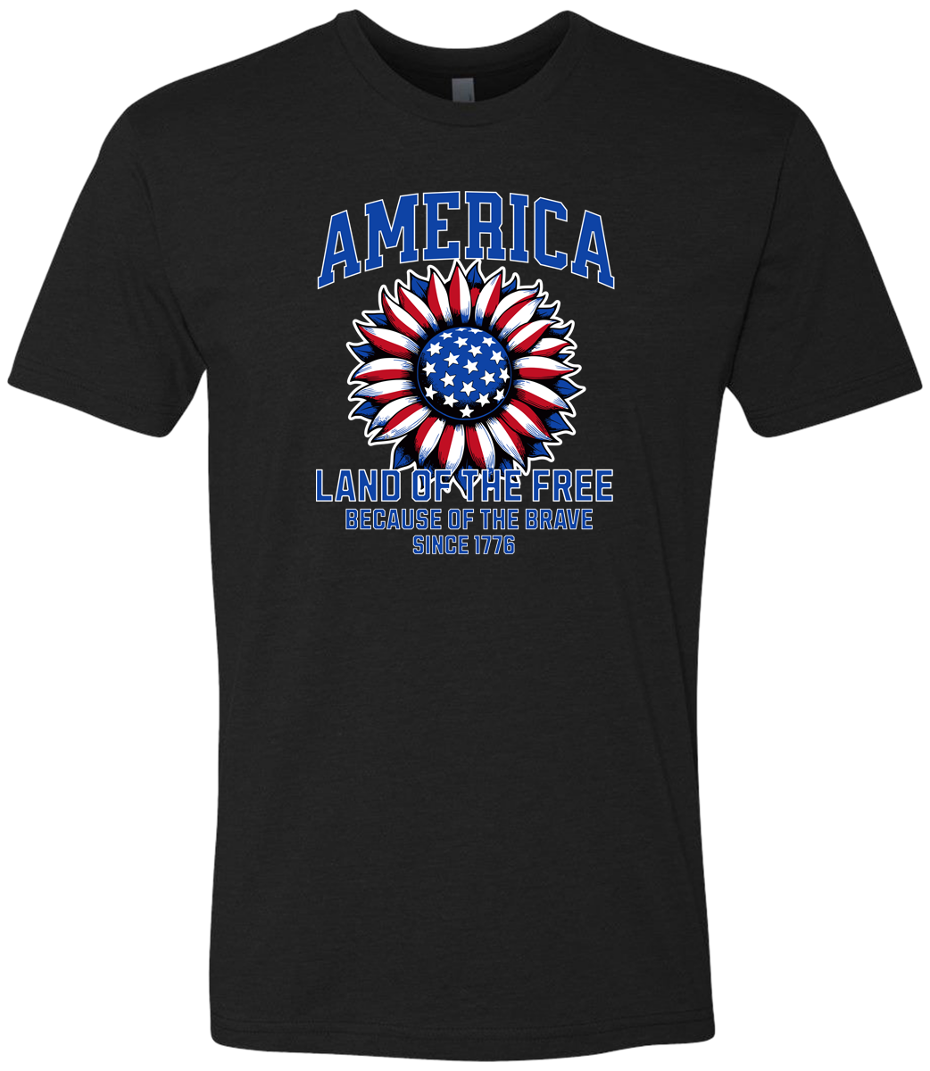 America Land of the Free