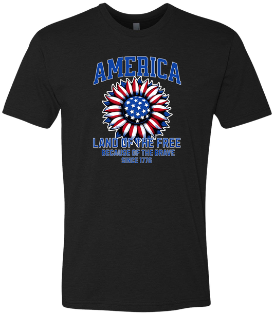 America Land of the Free