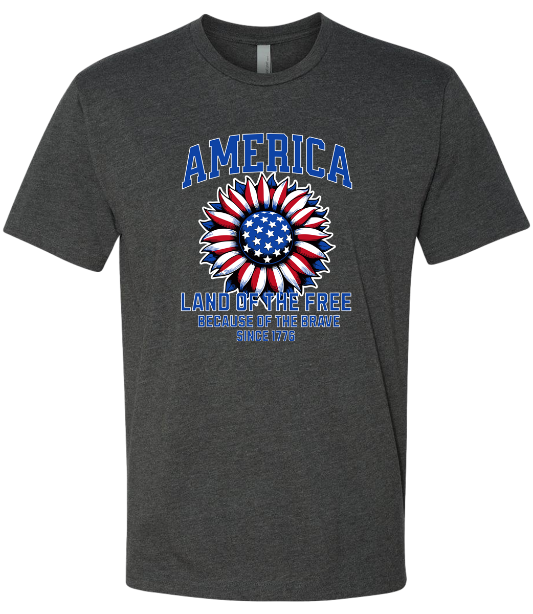 America Land of the Free