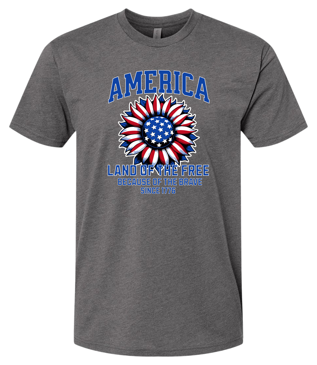 America Land of the Free