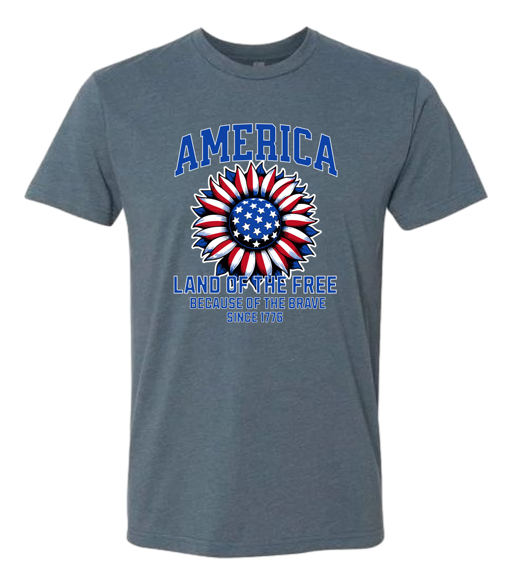 America Land of the Free