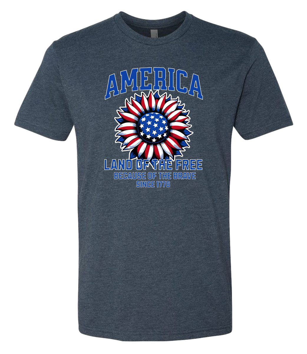 America Land of the Free