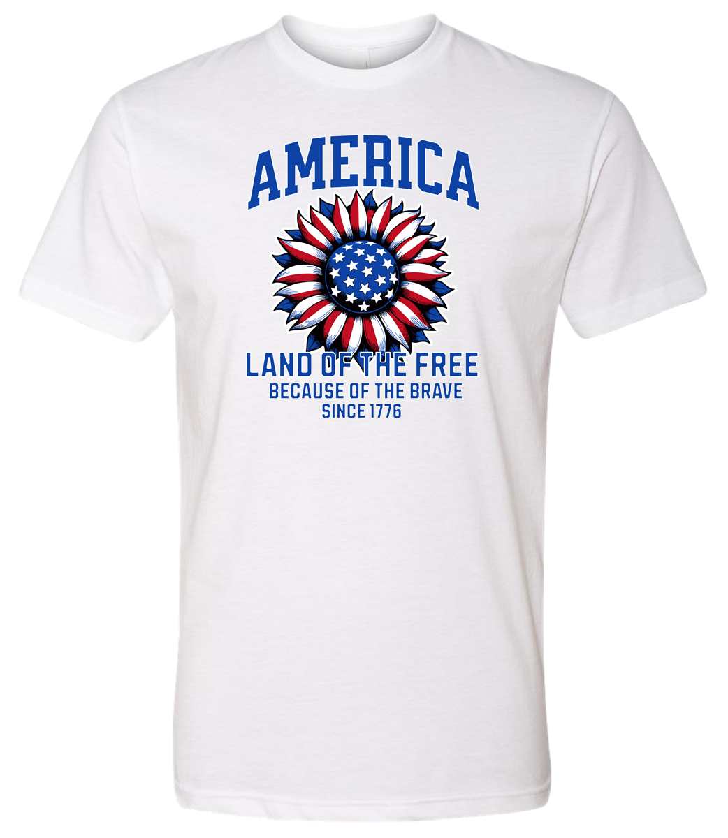 America Land of the Free