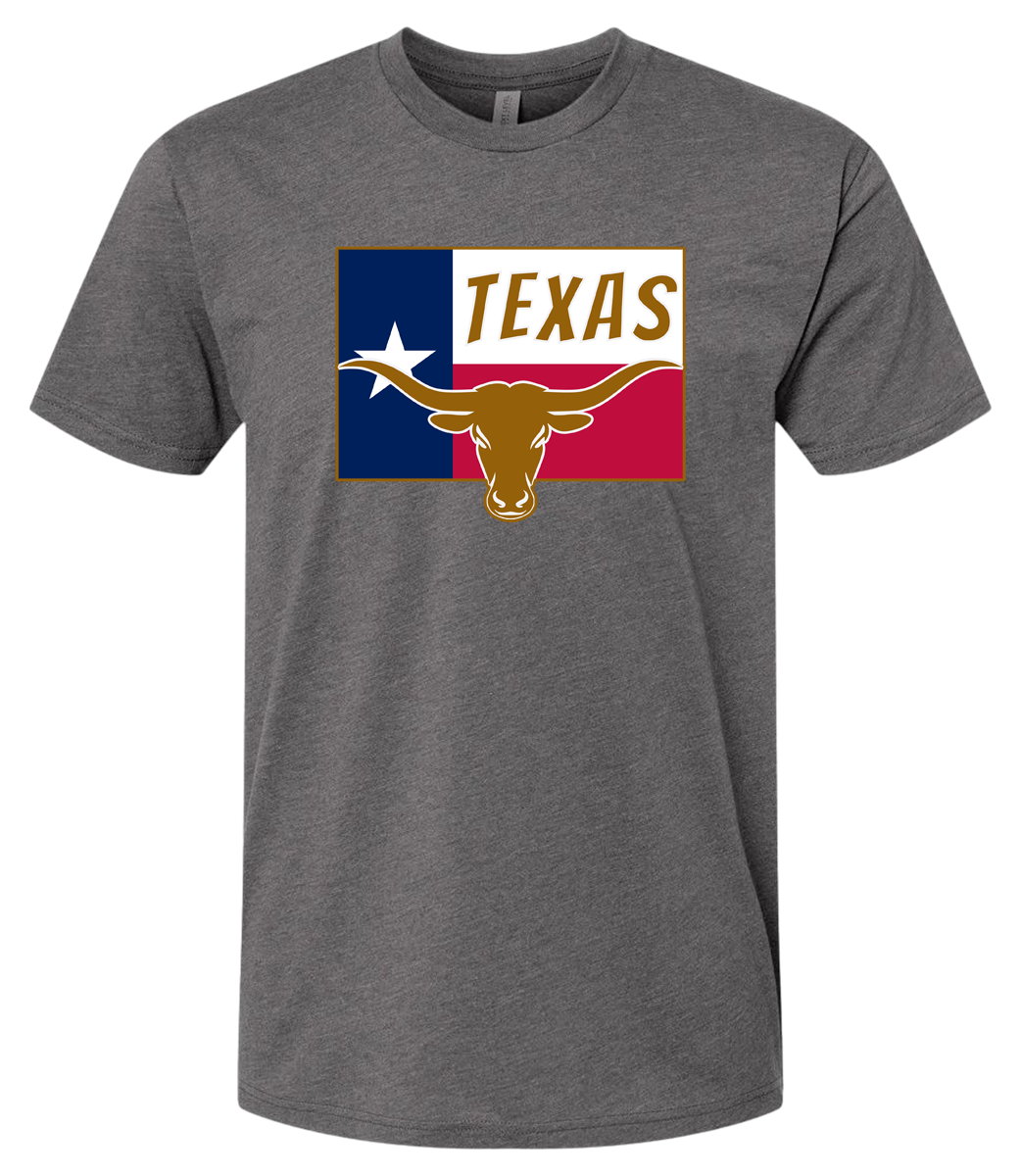 Texas Long Horn Bull