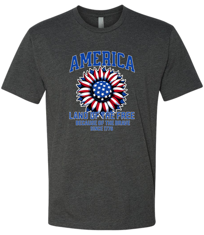 America Land of the Free