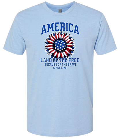 America Land of the Free