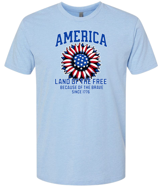 America Land of the Free