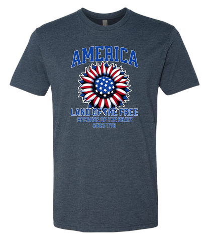 America Land of the Free