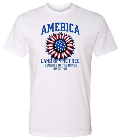 America Land of the Free