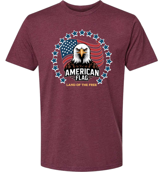 American Flag Eagle Stars