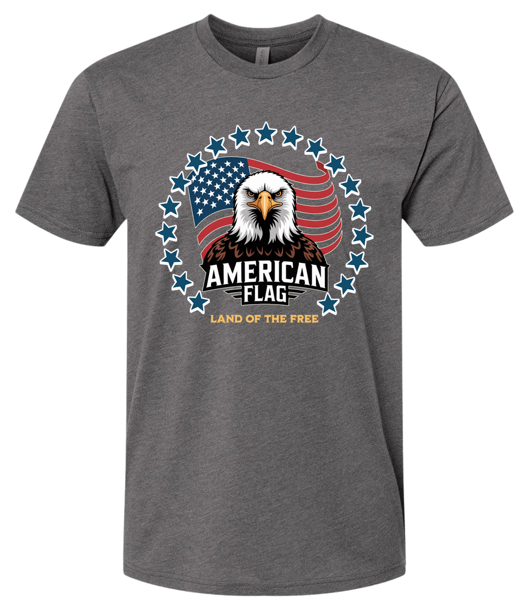 American Flag Eagle Stars