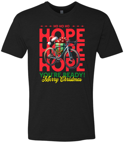 Christmas Bicycle