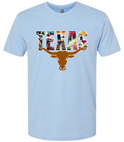 Texas Long Horn
