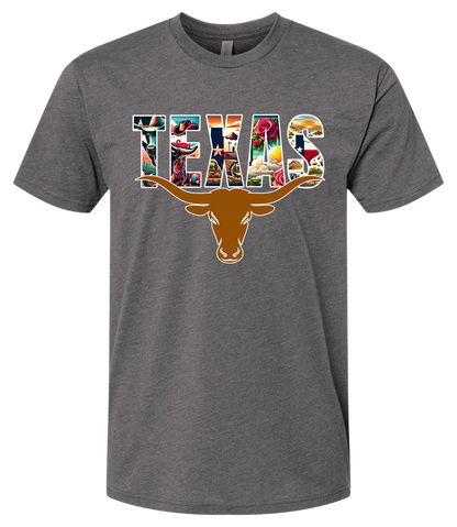 Texas Long Horn