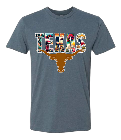 Texas Long Horn