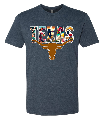Texas Long Horn