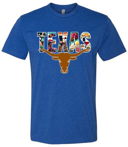Texas Long Horn