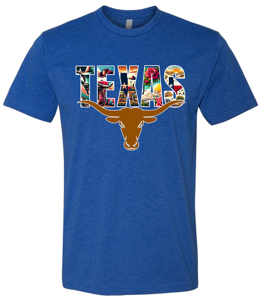 Texas Long Horn