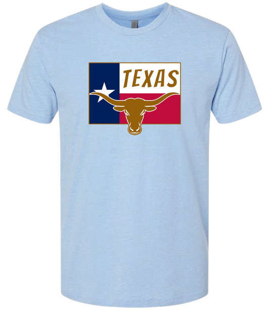 Texas Long Horn Bull