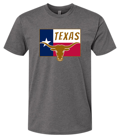 Texas Long Horn Bull