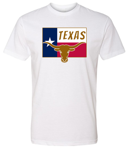 Texas Long Horn Bull