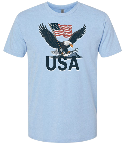 USA Flying Eagle